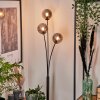 Bernado Floor Lamp - glass 12 cm Smoke-coloured, 3-light sources