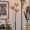 Bernado Floor Lamp - glass 15 cm clear, Smoke-coloured, 3-light sources