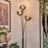 Bernado Floor Lamp - glass 15 cm clear, Smoke-coloured, 3-light sources
