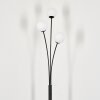 Bernado Floor Lamp - glass 10 cm white, 3-light sources