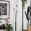 Bernado Floor Lamp - glass 15 cm clear, 3-light sources