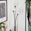 Bernado Floor Lamp - glass 15 cm clear, 3-light sources