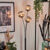 Bernado Floor Lamp - glass 15 cm Smoke-coloured, 3-light sources