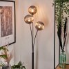 Bernado Floor Lamp - glass 15 cm Smoke-coloured, 3-light sources