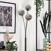 Bernado Floor Lamp - glass 15 cm Smoke-coloured, 3-light sources