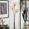 Bernado Floor Lamp - glass 15 cm Amber, 3-light sources