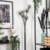 Bernado Floor Lamp - glass 12 cm Smoke-coloured, 6-light sources