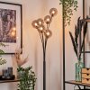 Bernado Floor Lamp - glass 12 cm Smoke-coloured, 6-light sources