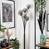 Bernado Floor Lamp - glass 12 cm Smoke-coloured, 6-light sources