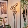 Bernado Floor Lamp - glass 12 cm Smoke-coloured, 6-light sources