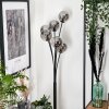 Bernado Floor Lamp - glass 12 cm Smoke-coloured, 6-light sources