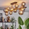 Chehalis Ceiling Light - glass 10 cm, 12 cm, 15 cm Smoke-coloured, 10-light sources