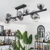 Chehalis Ceiling Light - glass 10 cm, 12 cm, 15 cm clear, Smoke-coloured, 10-light sources