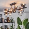 Chehalis Ceiling Light - glass 10 cm, 12 cm, 15 cm clear, Smoke-coloured, 10-light sources