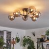 Chehalis Ceiling Light - glass 12 cm Smoke-coloured, 6-light sources