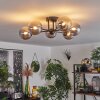 Chehalis Ceiling Light - glass 12 cm Smoke-coloured, 6-light sources