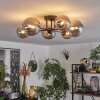 Chehalis Ceiling Light - glass 12 cm, 15 cm Smoke-coloured, 6-light sources