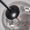Chehalis Ceiling Light - glass 12 cm, 15 cm Smoke-coloured, 6-light sources