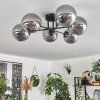 Chehalis Ceiling Light - glass 15 cm Smoke-coloured, 6-light sources