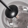 Chehalis Ceiling Light - glass 15 cm Smoke-coloured, 6-light sources