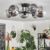 Chehalis Ceiling Light - glass 12 cm, 15 cm clear, Smoke-coloured, 6-light sources
