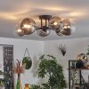 Chehalis Ceiling Light - glass 12 cm, 15 cm clear, Smoke-coloured, 6-light sources