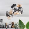 Chehalis Ceiling Light - glass 10 cm, 12 cm, 15 cm Amber, clear, Smoke-coloured, 10-light sources
