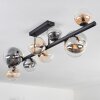 Chehalis Ceiling Light - glass 10 cm, 12 cm, 15 cm Amber, clear, Smoke-coloured, 10-light sources
