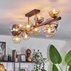 Chehalis Ceiling Light - glass 10 cm, 12 cm, 15 cm Amber, clear, Smoke-coloured, 10-light sources