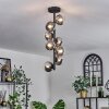 Chehalis Ceiling Light - glass 10 cm clear, Smoke-coloured, 8-light sources
