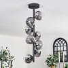 Chehalis Ceiling Light - glass 10 cm clear, Smoke-coloured, 8-light sources