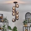 Chehalis Ceiling Light - glass 12 cm clear, Smoke-coloured, 8-light sources