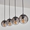 Evolene Pendant Light black, 4-light sources