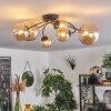 Chehalis Ceiling Light - glass 10 cm, 12 cm, 15 cm Amber, 6-light sources