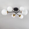 Chehalis Ceiling Light - glass 10 cm, 12 cm, 15 cm gold, black, 6-light sources