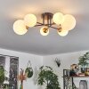 Chehalis Ceiling Light - glass 10 cm, 12 cm, 15 cm gold, black, 6-light sources