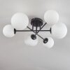 Chehalis Ceiling Light - glass 12 cm, 15 cm black, 6-light sources
