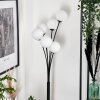 Bernado Floor Lamp - glass 12 cm white, 6-light sources