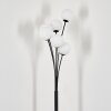 Bernado Floor Lamp - glass 12 cm white, 6-light sources