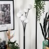 Bernado Floor Lamp - glass 12 cm white, 6-light sources