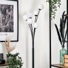 Bernado Floor Lamp - glass 10 cm white, 6-light sources