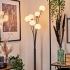 Bernado Floor Lamp - glass 10 cm white, 6-light sources