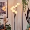 Bernado Floor Lamp - glass 10 cm white, 6-light sources
