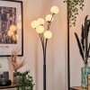 Bernado Floor Lamp - glass 10 cm white, 6-light sources