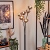 Bernado Floor Lamp - glass 12 cm clear, Smoke-coloured, 6-light sources