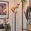 Bernado Floor Lamp - glass 12 cm clear, Smoke-coloured, 6-light sources