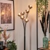 Bernado Floor Lamp - glass 10 cm clear, Smoke-coloured, 6-light sources