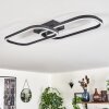 Silla Ceiling Light LED black, 1-light source