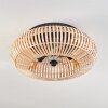 Mulstrand Ceiling Light 50 cm black, 4-light sources, Remote control