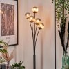 Bernado Floor Lamp - glass 10 cm Smoke-coloured, 5-light sources